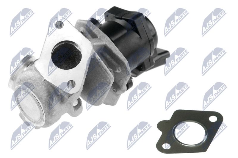 NTY EGR-PE-002 EGR Valve