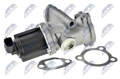 EGR Valve NTY EGR-PL-004