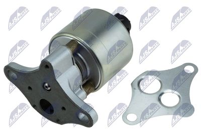 EGR Valve NTY EGR-PL-025