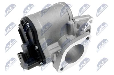 EGR Valve NTY EGR-RE-001