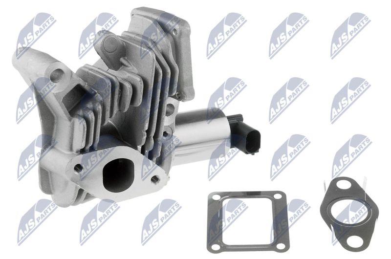 NTY EGR-RE-006 EGR Valve