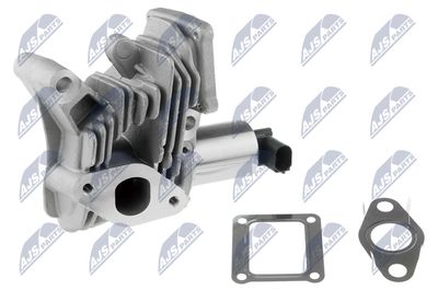 EGR Valve NTY EGR-RE-006