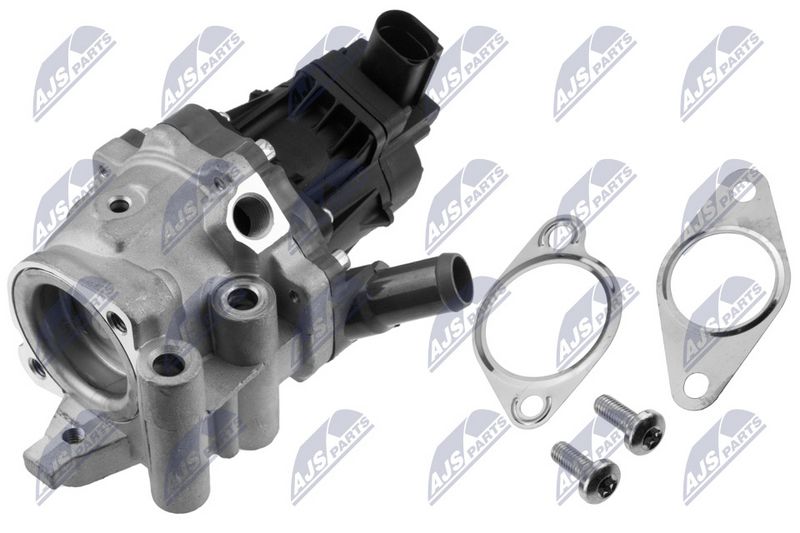 NTY EGR-VC-000 EGR Valve