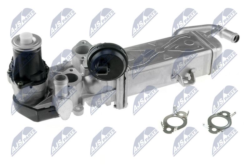NTY EGR-VW-007 EGR Valve