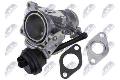 EGR Valve NTY EGR-VW-031