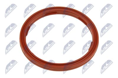 Seal Ring, engine oil level sensor NTY EPO-BM-010