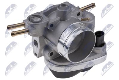 Throttle Body NTY ETB-AU-010