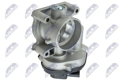 Throttle Body NTY ETB-FR-004