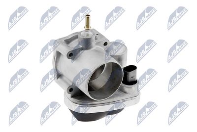 Throttle Body NTY ETB-RE-001