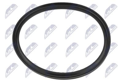 Seal Ring, charge air hose NTY GPP-BM-233