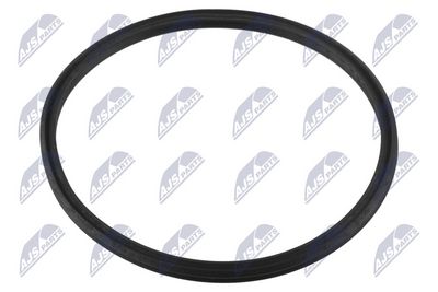 Seal Ring, charge air hose NTY GPP-BM-234