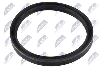 Seal Ring, charge air hose NTY GPP-BM-235