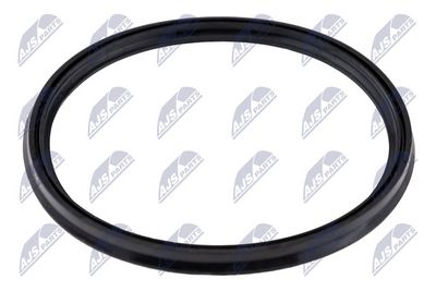 Seal Ring, charge air hose NTY GPP-RE-142