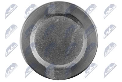 Piston, brake caliper NTY HTZ-TY-007