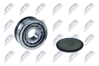 Repair Kit, steering knuckle NTY KNZ-NS-002