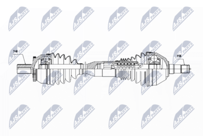 Drive Shaft NTY NPW-VV-059