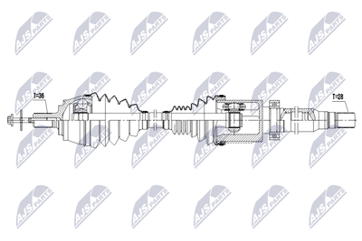Drive Shaft NTY NPW-VV-163