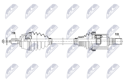 Drive Shaft NTY NPW-VV-166