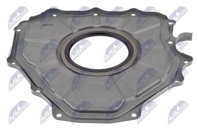 Shaft Seal, crankshaft NTY NUP-LR-004