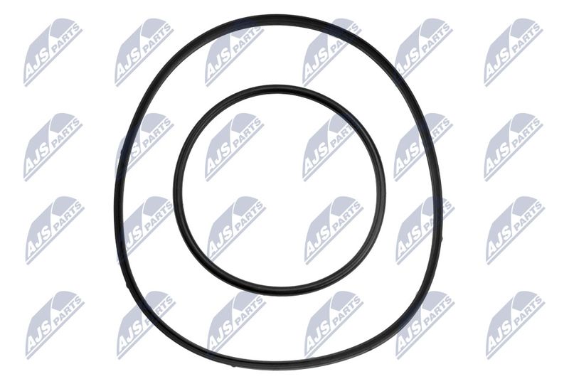 NTY PVP-BM-000 Seal Ring, nozzle holder