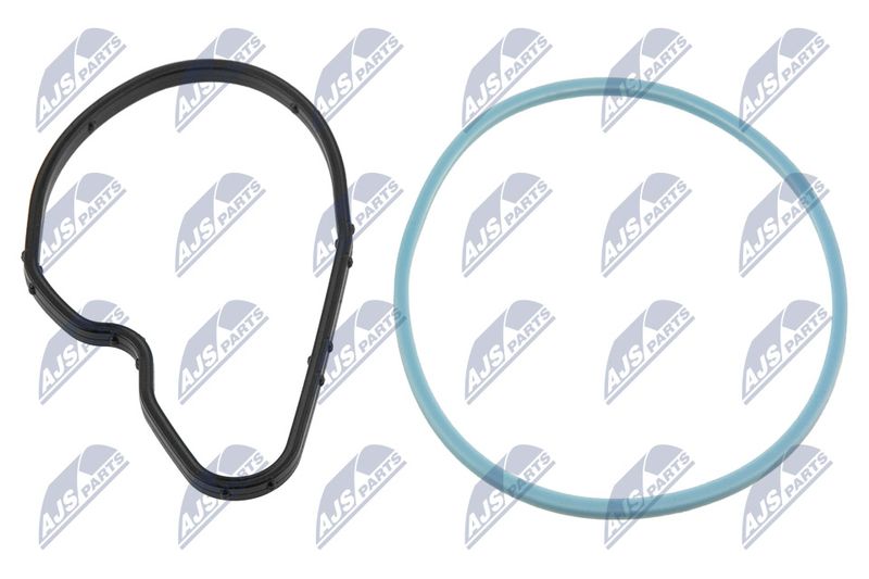 NTY PVP-PL-000 Seal Ring, nozzle holder