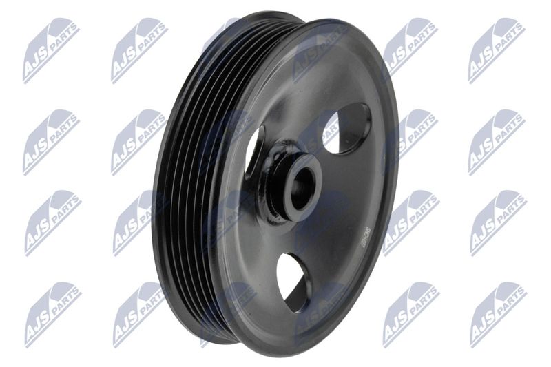NTY RKP-CH-027 Belt Pulley, power steering pump