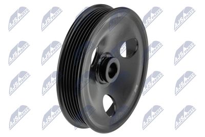 Belt Pulley, power steering pump NTY RKP-CH-027