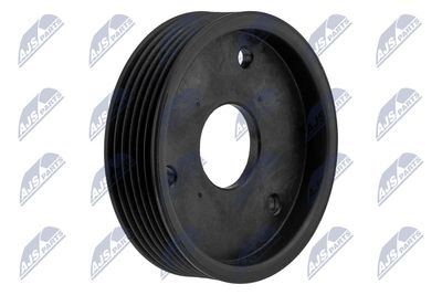 Belt Pulley, power steering pump NTY RKP-RE-024