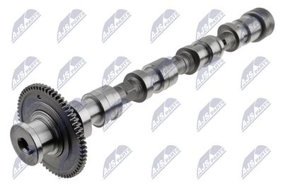 Camshaft NTY RKZ-MZ-003