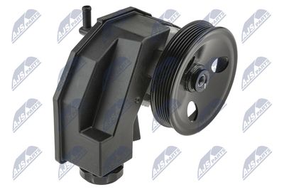 Hydraulic Pump, steering NTY SPW-CH-035