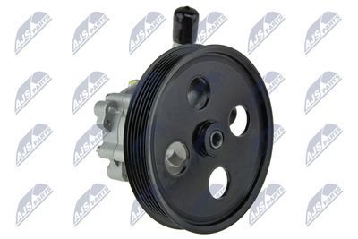 Hydraulic Pump, steering NTY SPW-CH-048