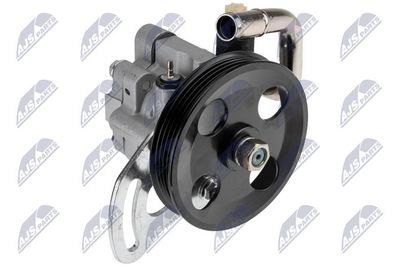 Hydraulic Pump, steering NTY SPW-CH-065