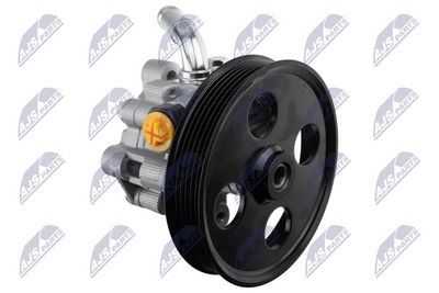 Hydraulic Pump, steering NTY SPW-CH-067