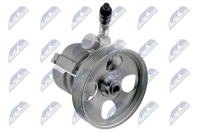 Hydraulic Pump, steering NTY SPW-CT-002