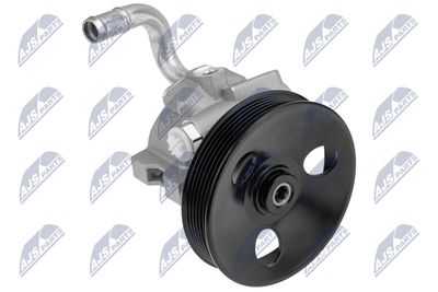 Hydraulic Pump, steering NTY SPW-DW-001