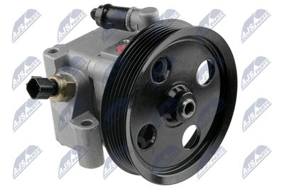 Hydraulic Pump, steering NTY SPW-FR-004