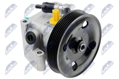 Hydraulic Pump, steering NTY SPW-FR-012