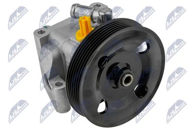 Hydraulic Pump, steering NTY SPW-FR-028