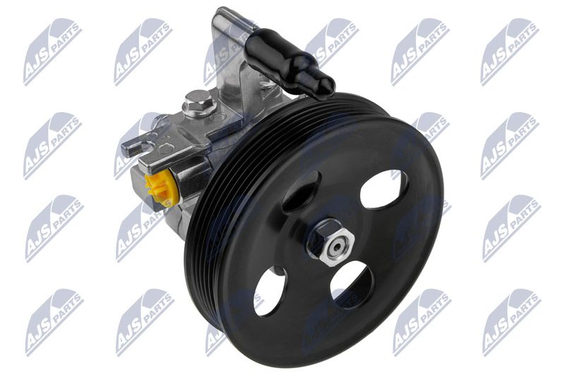 NTY SPW-HY-501 Hydraulic Pump, steering