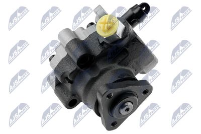 Hydraulic Pump, steering NTY SPW-LR-012