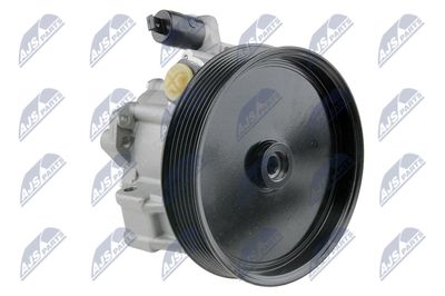 Hydraulic Pump, steering NTY SPW-ME-022