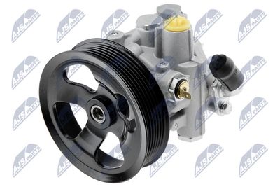 Hydraulic Pump, steering NTY SPW-MS-006