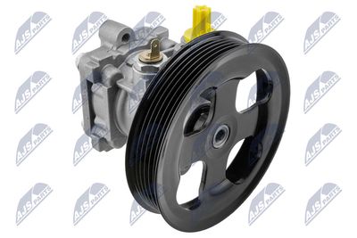 Hydraulic Pump, steering NTY SPW-MS-019
