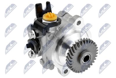 Hydraulic Pump, steering NTY SPW-NS-012