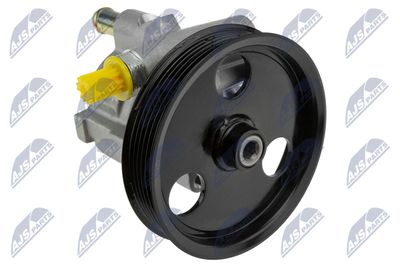 Hydraulic Pump, steering NTY SPW-RE-019