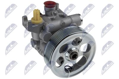 Hydraulic Pump, steering NTY SPW-SB-010