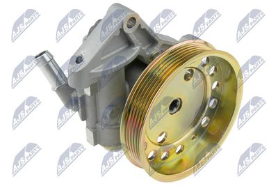 Hydraulic Pump, steering NTY SPW-VV-000