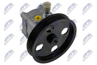 Hydraulic Pump, steering NTY SPW-VV-001