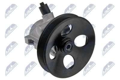Hydraulic Pump, steering NTY SPW-VV-005