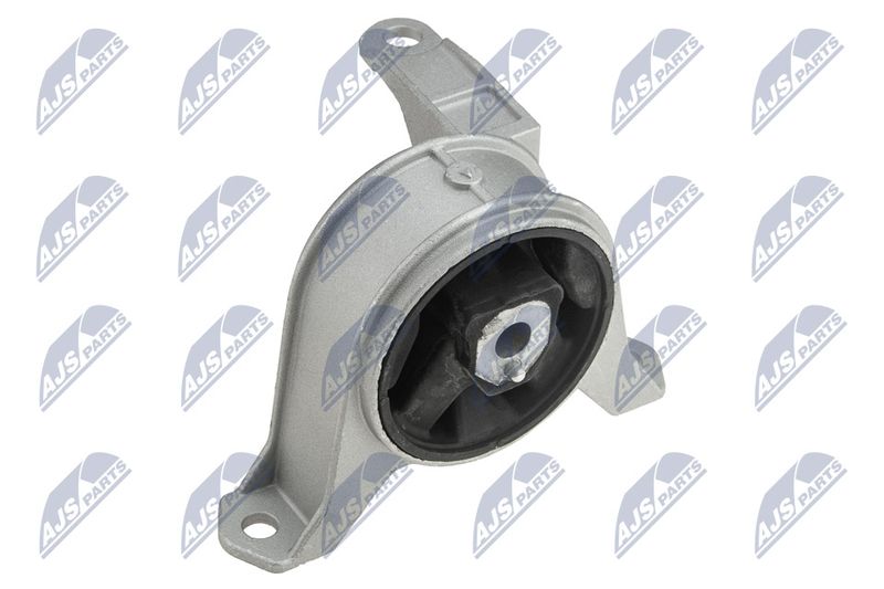 NTY ZPS-PL-016 Mounting, engine